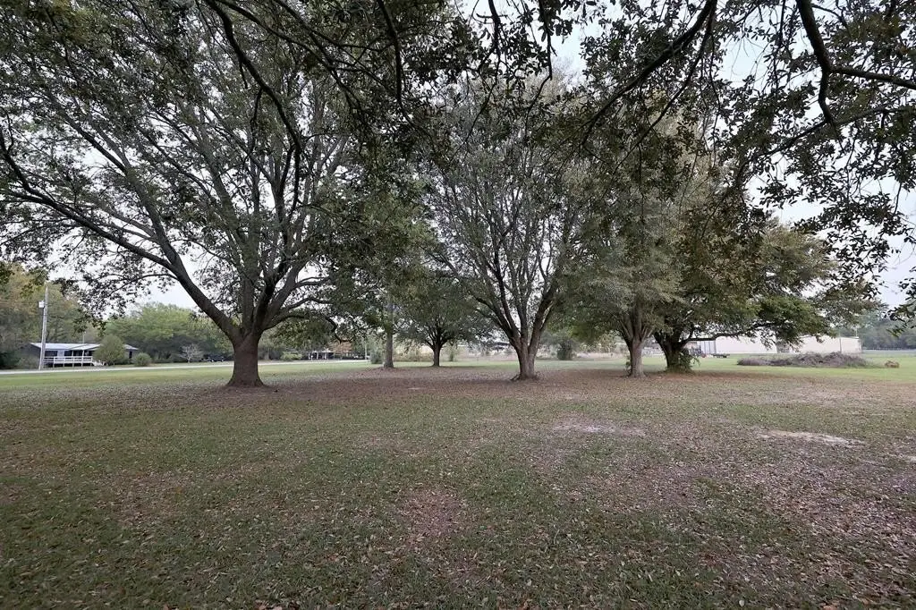 Picture 20
