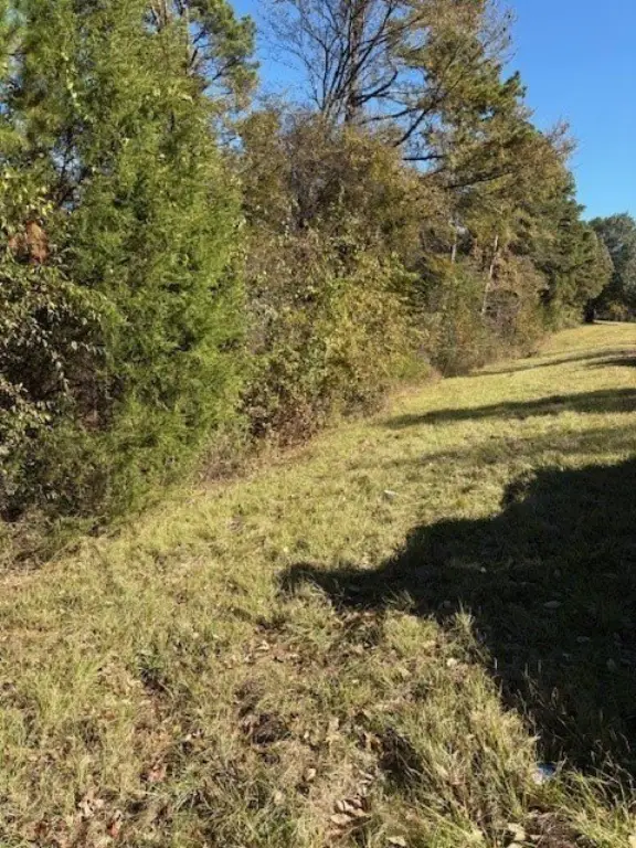 Picture 4