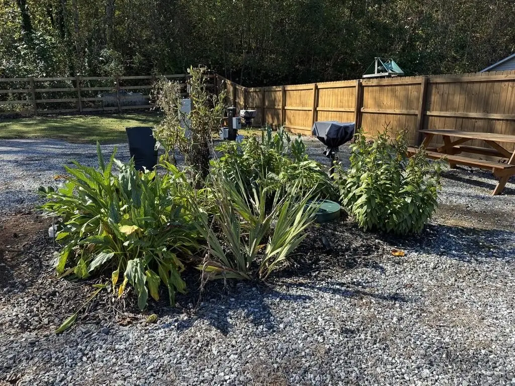 Picture 21