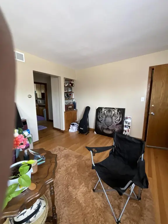 Picture 5