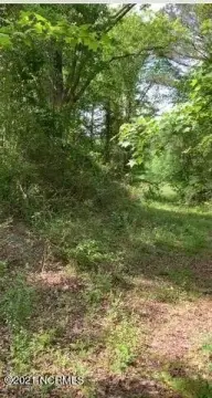 Hamlet, NC Land Opportunity