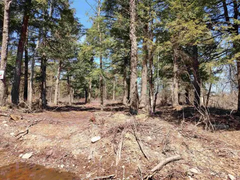 Michigan Wilderness 40-Acre Recreational Land