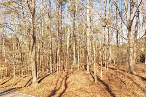Homesite in Chickasaw Point