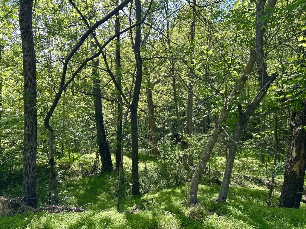 Picture 6