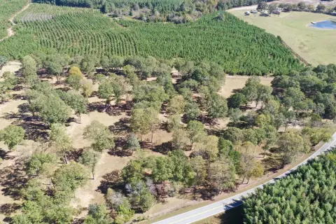 Liberty, SC Vacant Land