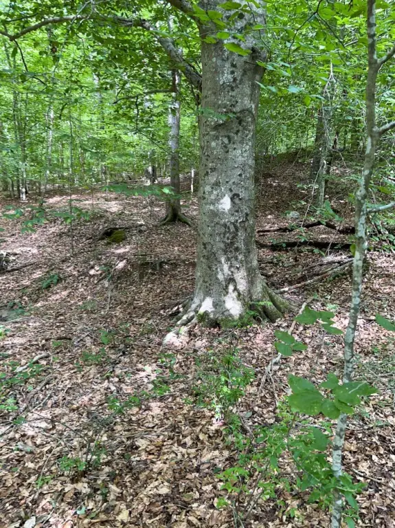 Picture 10