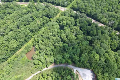 Harpersville Land Lot For Sale