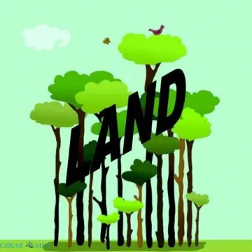 Acre Lot in Courthouse District