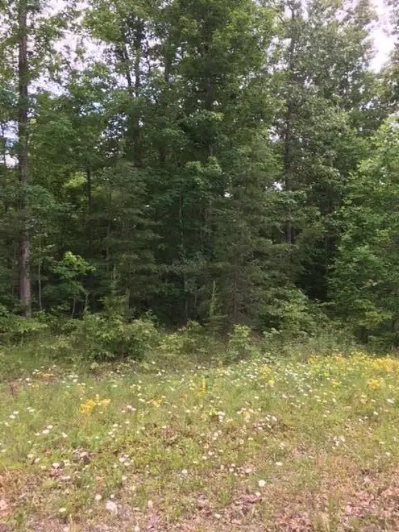 Picture 4