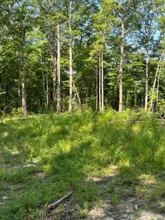 Picture 15