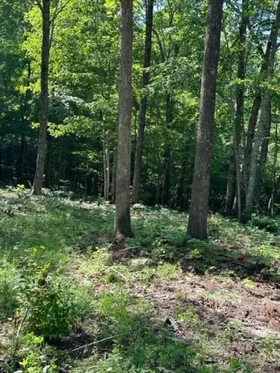 Picture 18