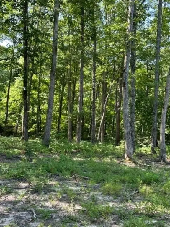 Picture 24