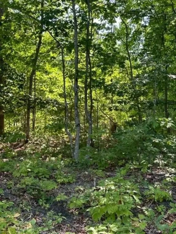 Picture 23