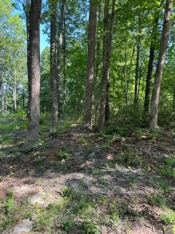 Picture 11