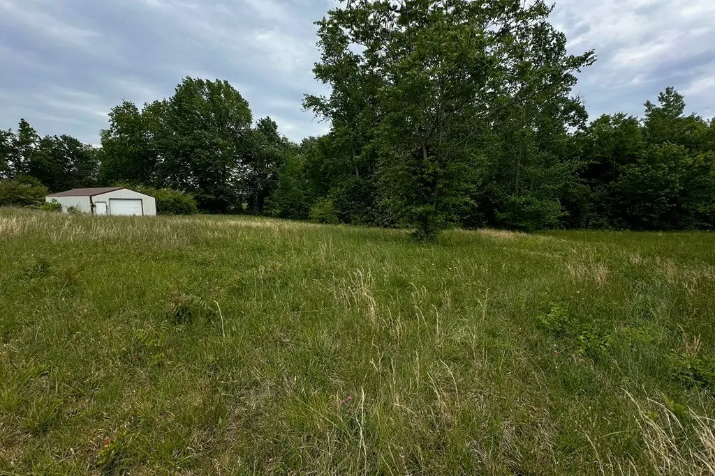 Picture 5