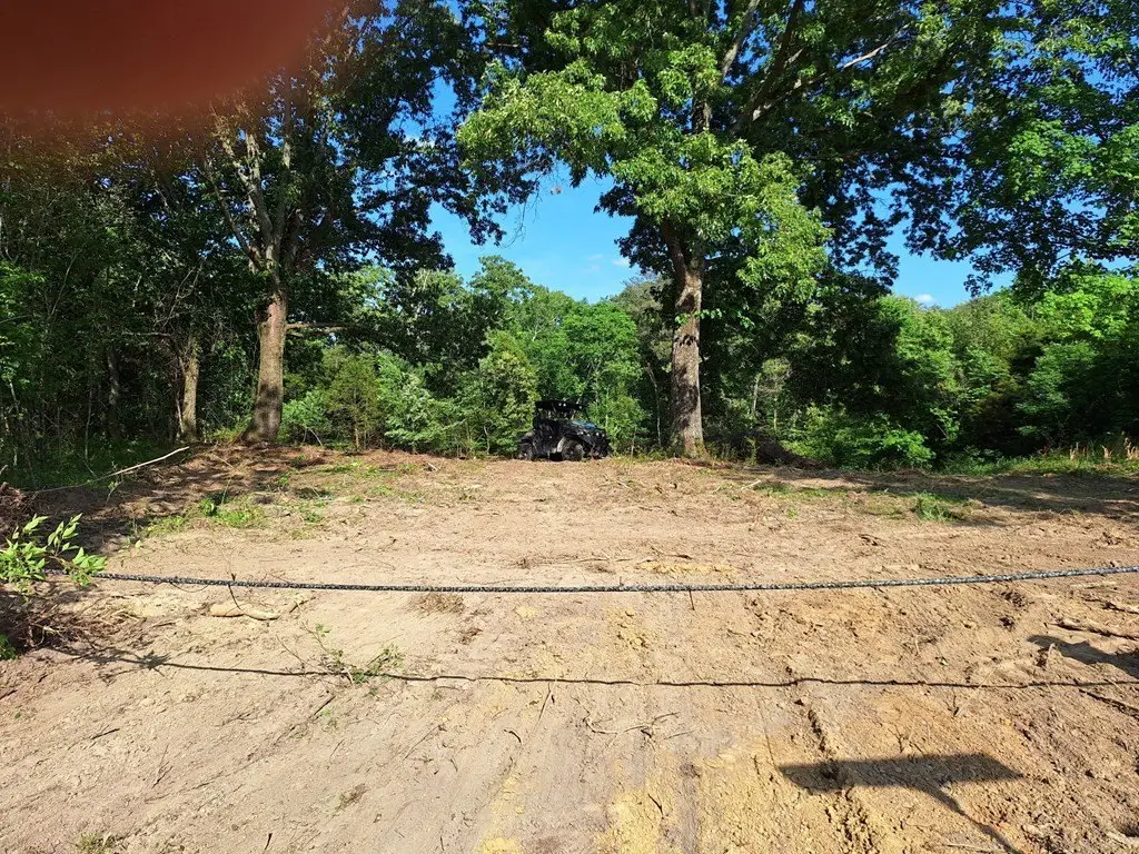 Picture 2
