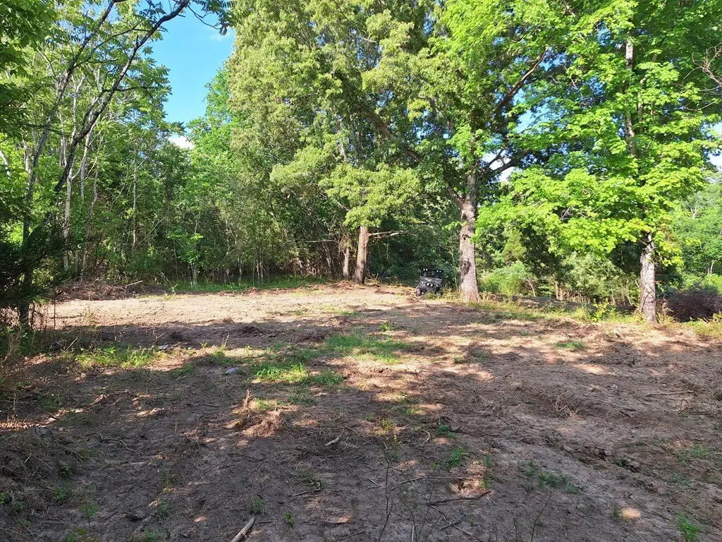 Picture 3