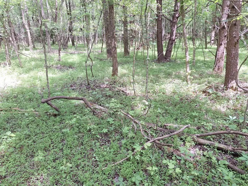 Picture 6