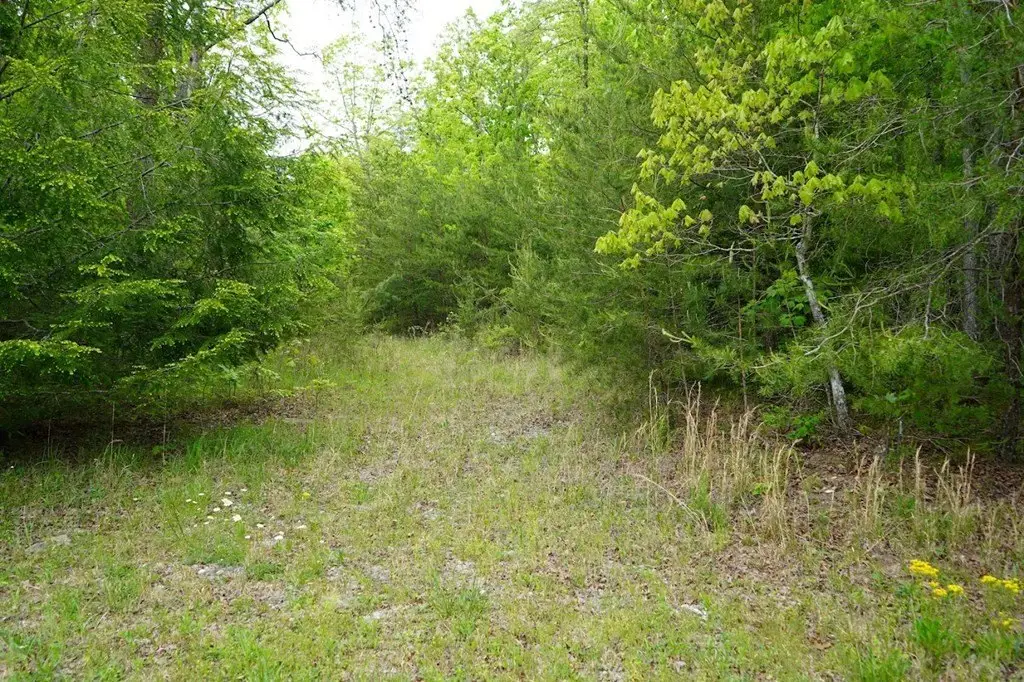 Picture 12