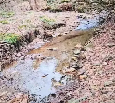 Woodlawn, VA Building Site