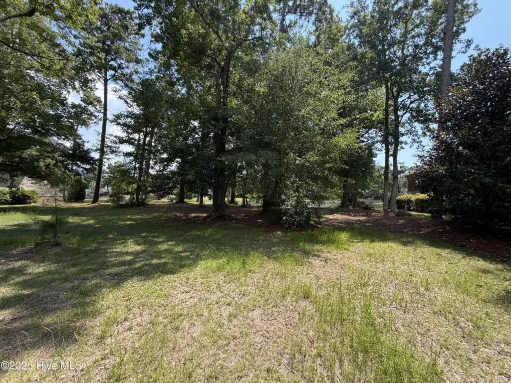 Picture 30