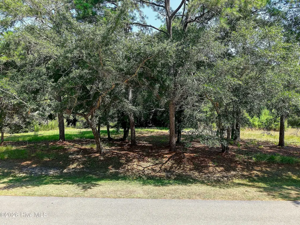 Picture 2