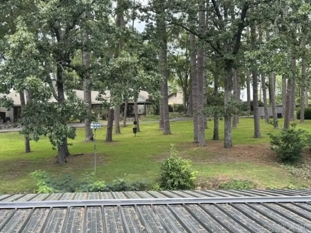 Picture 35