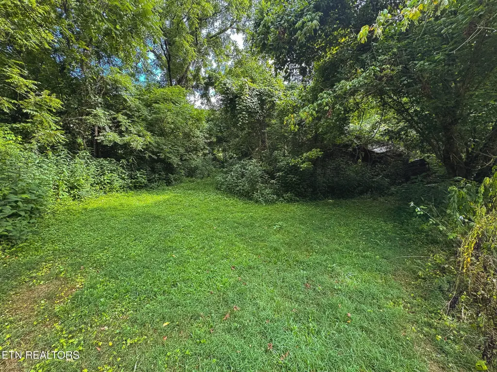 Picture 31