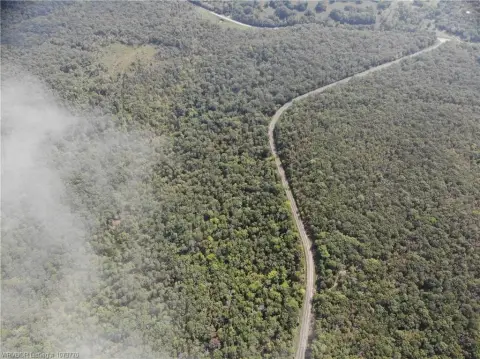 70 Acres of Hunting Paradise