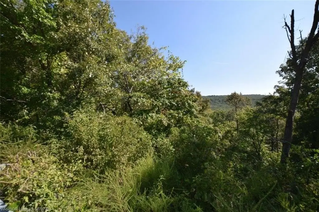 Picture 43