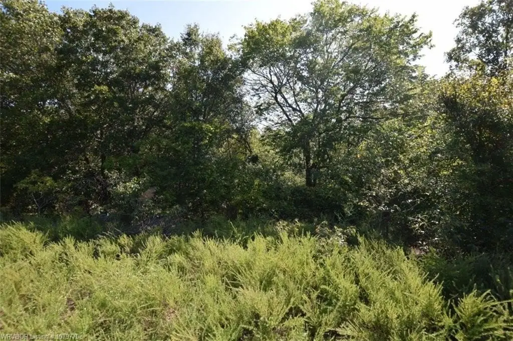 Picture 41