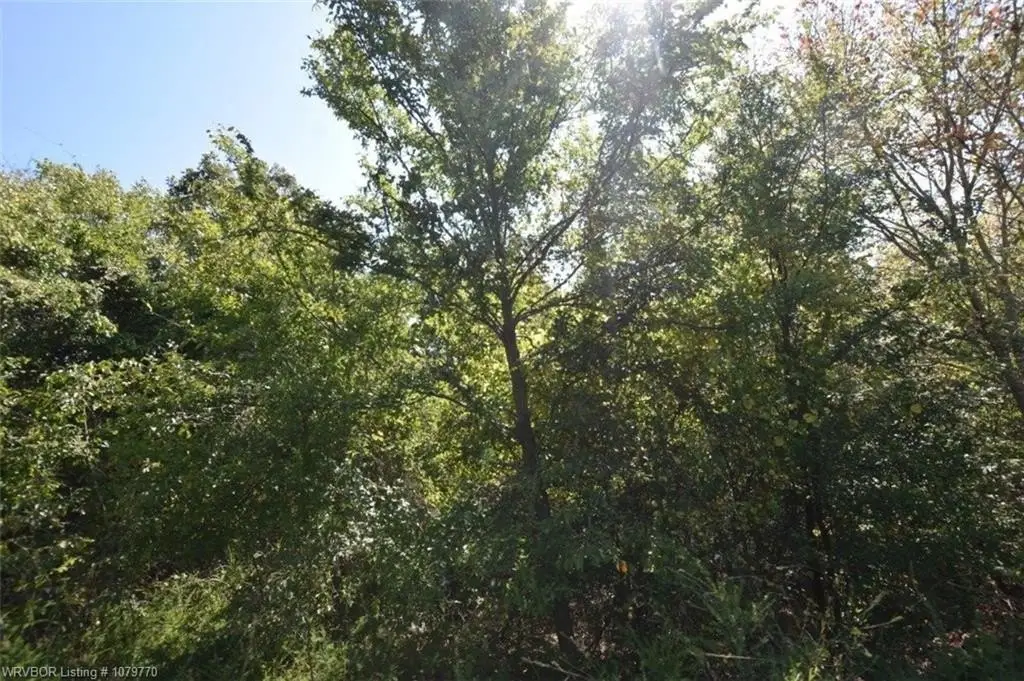 Picture 38