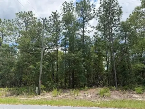 Residential Development Lot with Paved Access