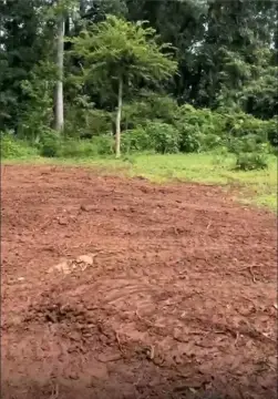 Atlanta Land Ready to Build