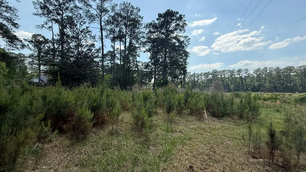 Picture 11