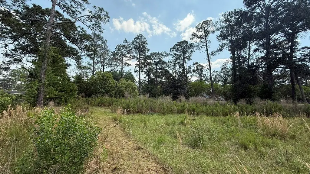 Picture 12