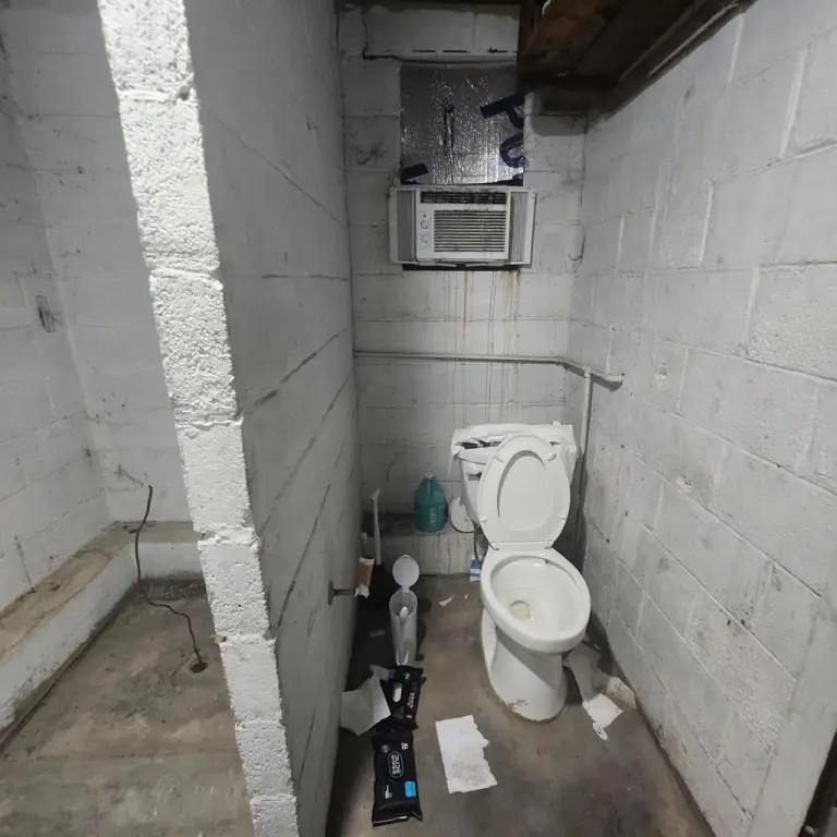 Picture 10