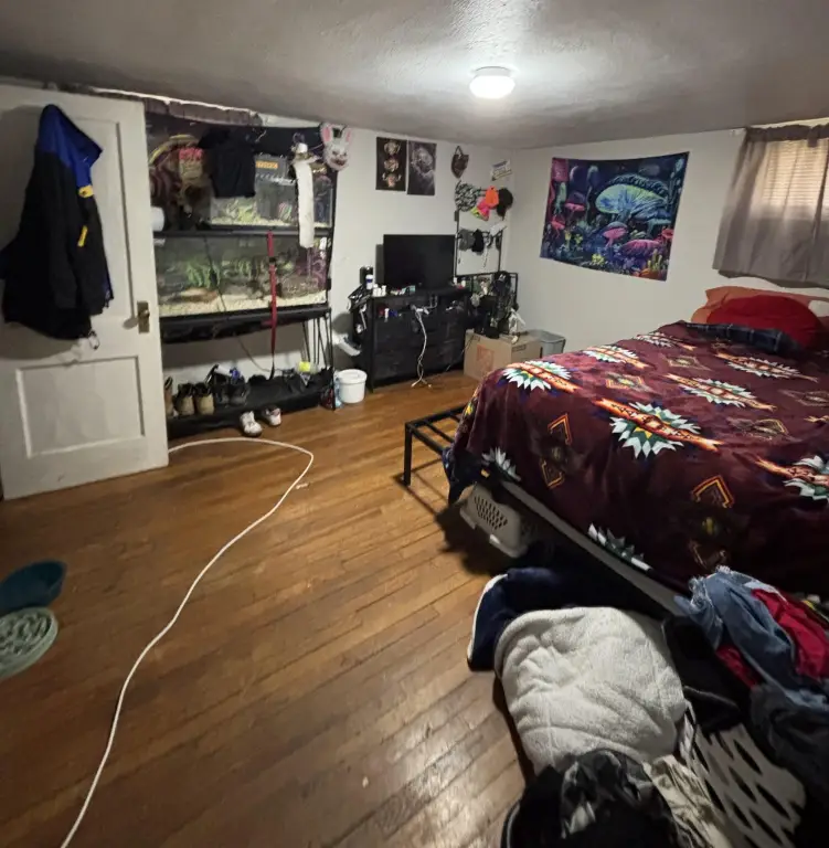 Picture 13