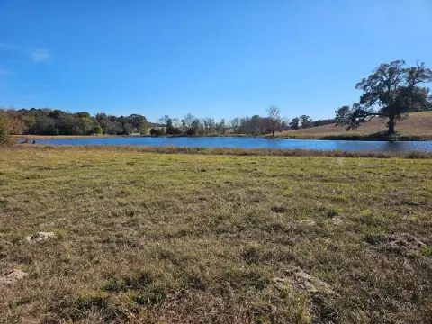 East Texas Acreage with Lakes