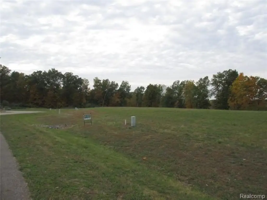 Picture 15