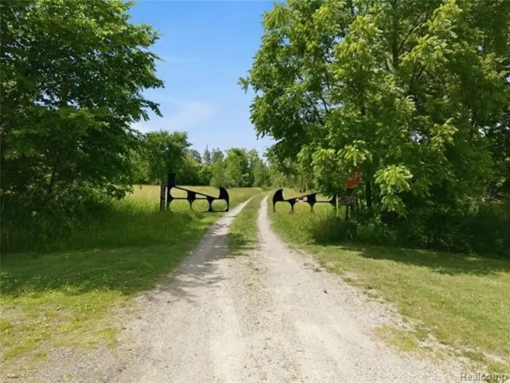 Picture 23
