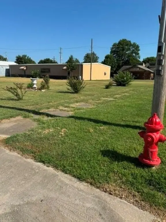 Picture 20