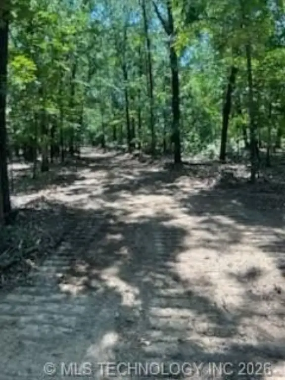 Picture 3