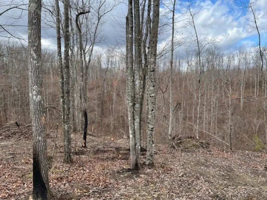 Picture 21