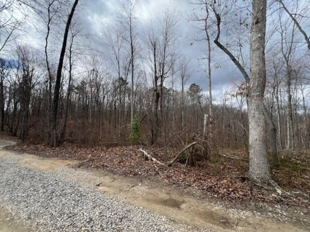 Picture 27