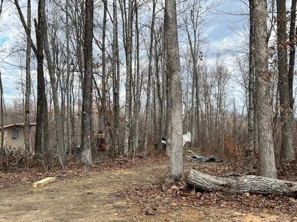 Picture 19