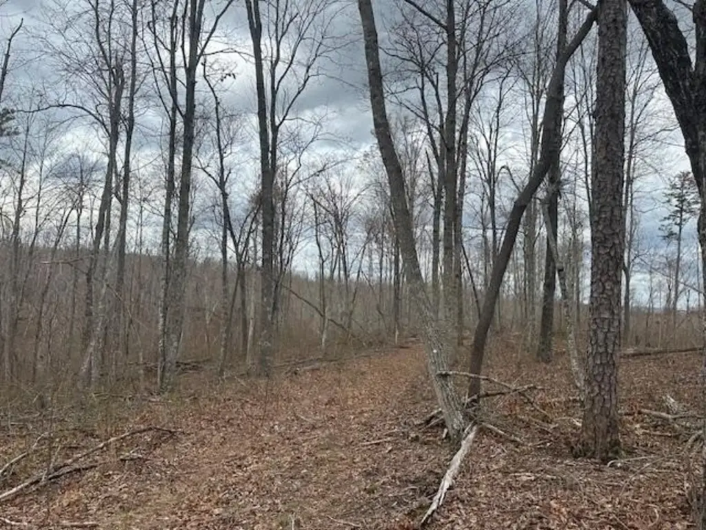 Picture 43
