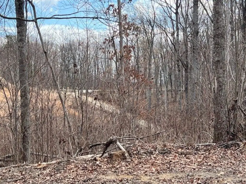 Picture 23