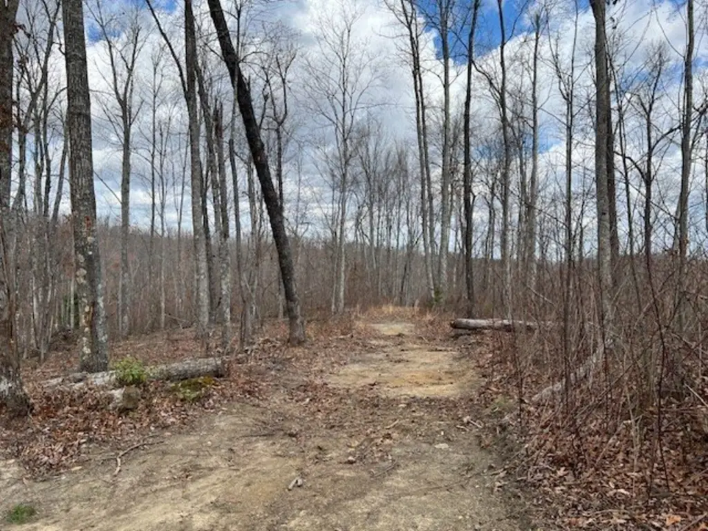 Picture 15