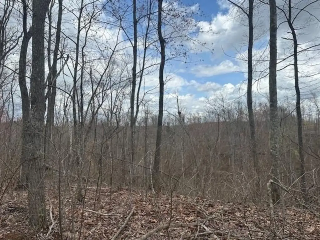 Picture 38